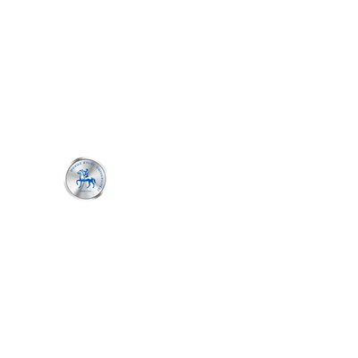 Dokuz Eylül Üniversitesi